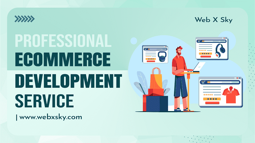 Professional Ecommerce Development Service