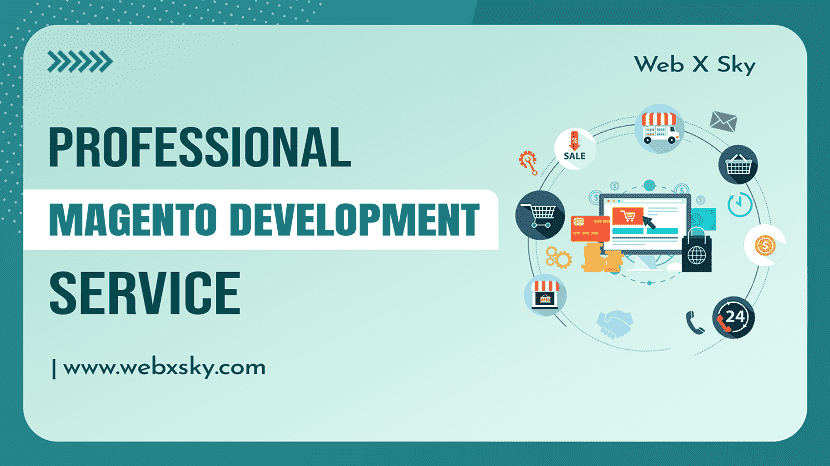 Professional Magento Development Service