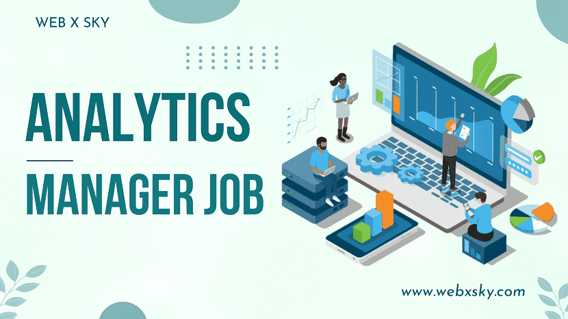 Analytics Manager Job